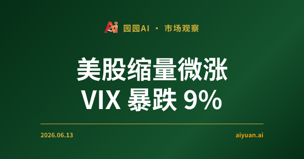美股缩量微涨 VIX 暴跌 9%:期权资金流向背离,是最后的疯狂还是蓄势待发?