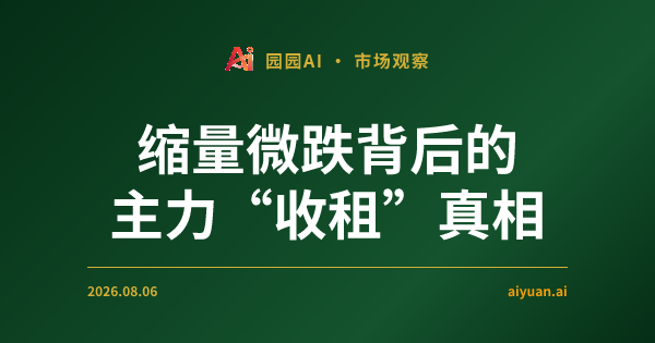 缩量微跌背后的主力“收租”真相:解析 2026 年 8 月 6 日美股背离信号与策略重心