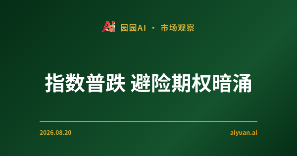 指数普跌下的防御姿态:IWM 领跌与避险期权激增揭示了哪些底层逻辑?