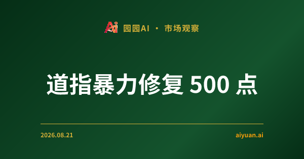 道指暴力修复 500 点:是牛市回归,还是机构在反向买“保险”?